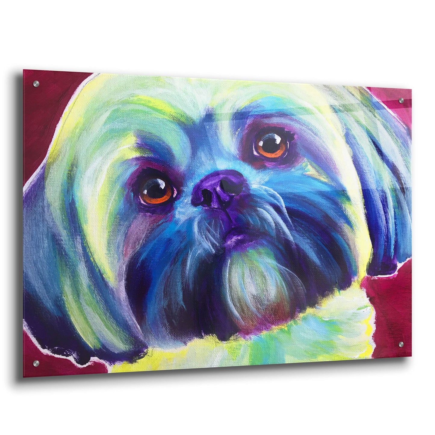 Epic Art 'Lhasa Apso - Sadie2 by Dawg Painter, Acrylic Glass Wall Art,36x24