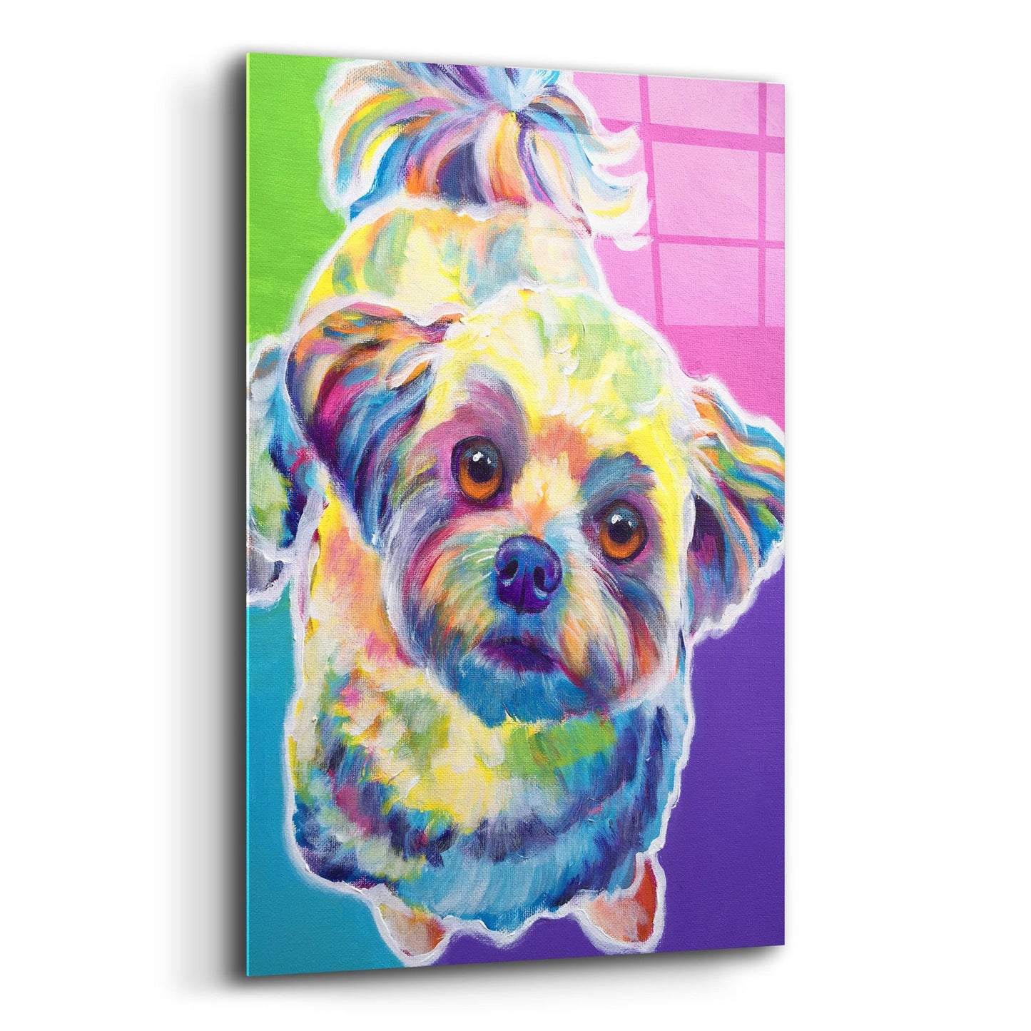 Epic Art 'Maltipoo - Ziggy2 by Dawg Painter, Acrylic Glass Wall Art,12x16