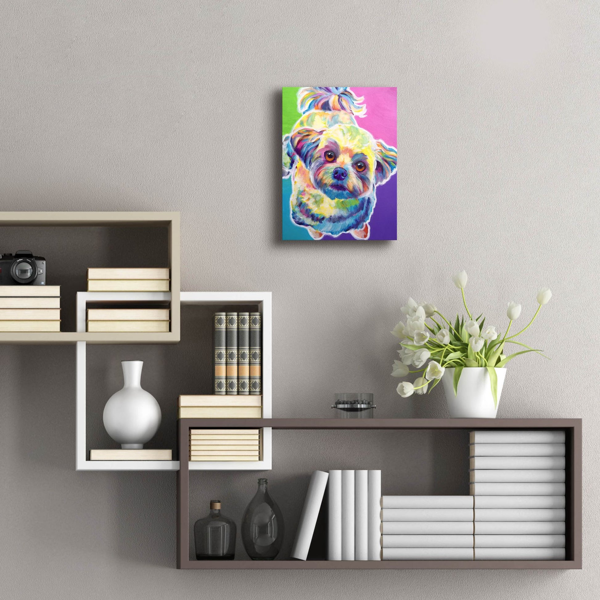 Epic Art 'Maltipoo - Ziggy2 by Dawg Painter, Acrylic Glass Wall Art,12x16