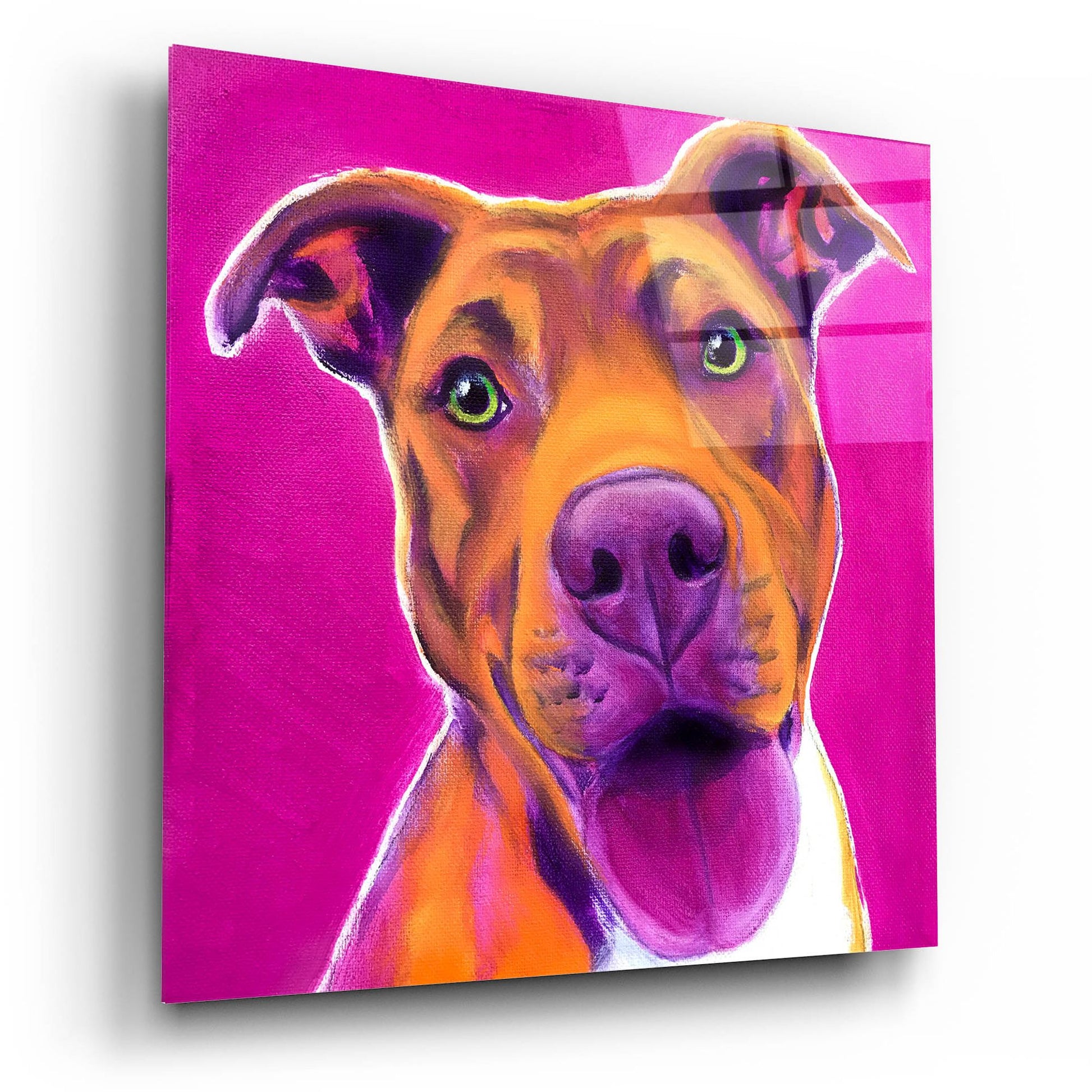 Epic Art 'Pit Bull - Bama2 by Dawg Painter, Acrylic Glass Wall Art,12x12