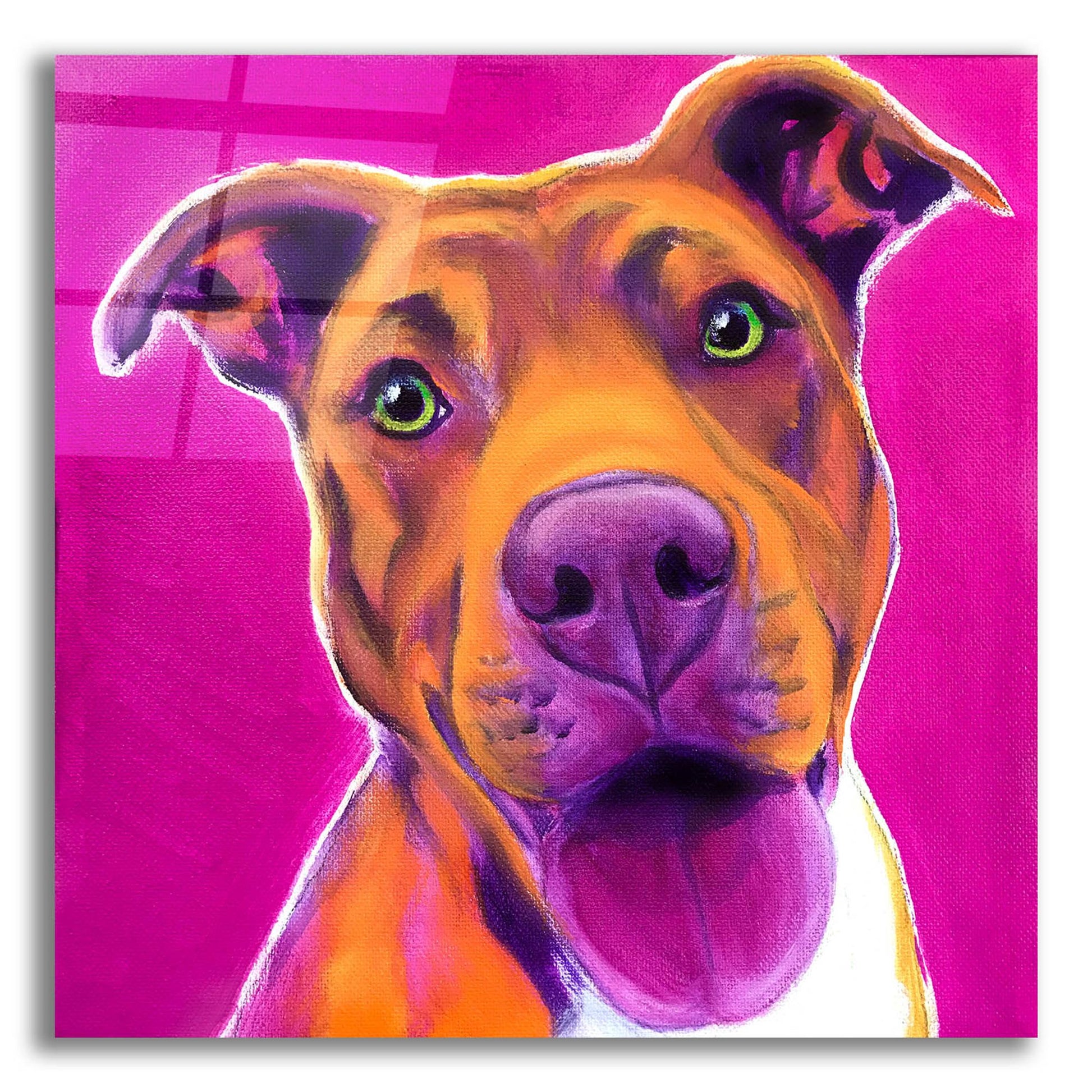 Epic Art 'Pit Bull - Bama2 by Dawg Painter, Acrylic Glass Wall Art