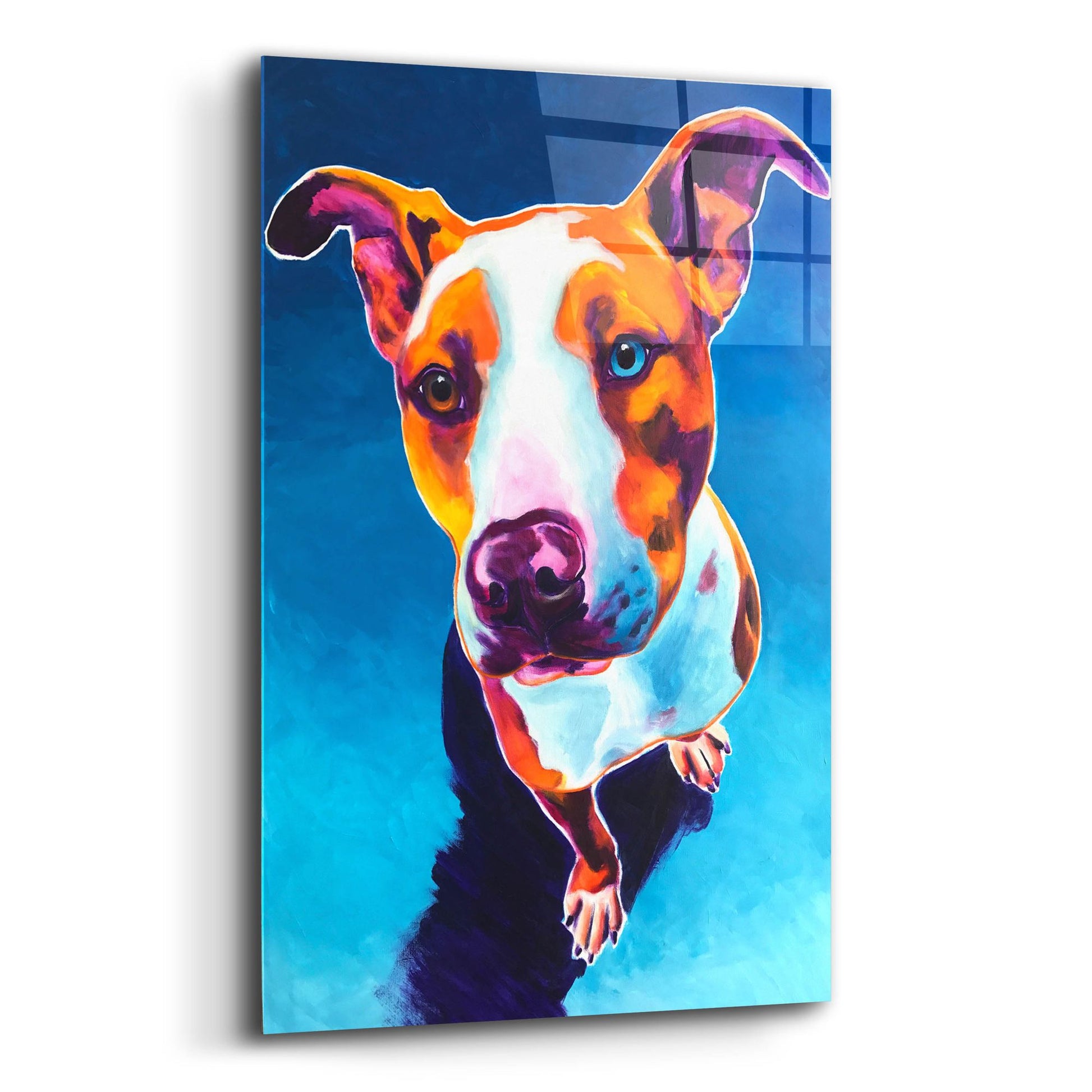 Epic Art 'Pit Bull - Bentley2 by Dawg Painter, Acrylic Glass Wall Art,12x16