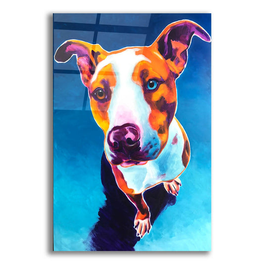 Epic Art 'Pit Bull - Bentley2 by Dawg Painter, Acrylic Glass Wall Art