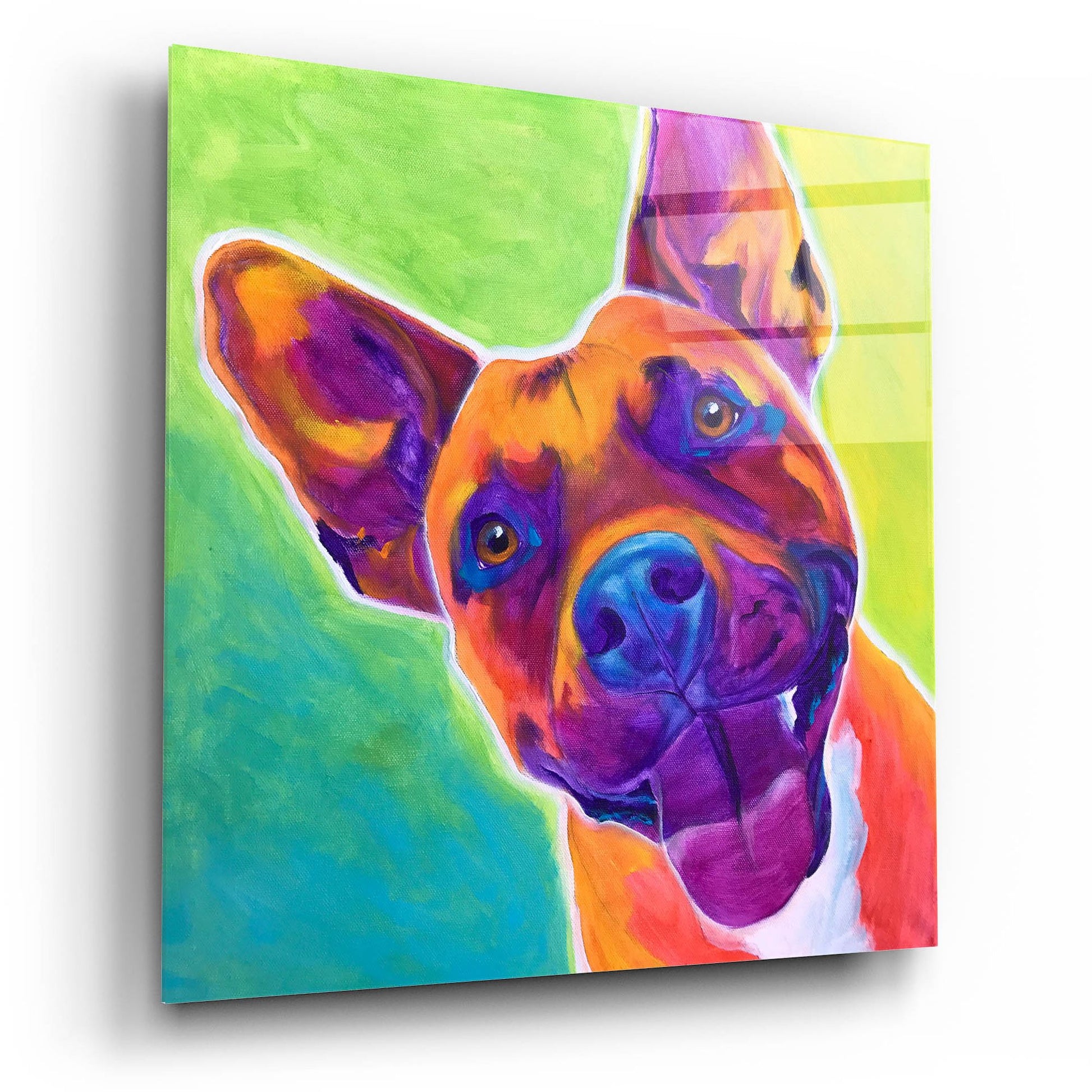 Epic Art 'Pit Bull - Billy2 by Dawg Painter, Acrylic Glass Wall Art,12x12