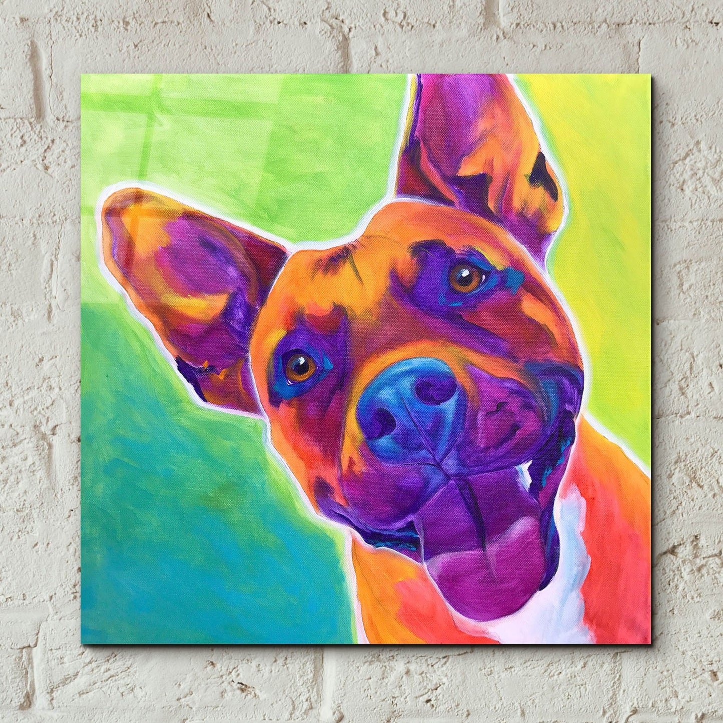 Epic Art 'Pit Bull - Billy2 by Dawg Painter, Acrylic Glass Wall Art,12x12