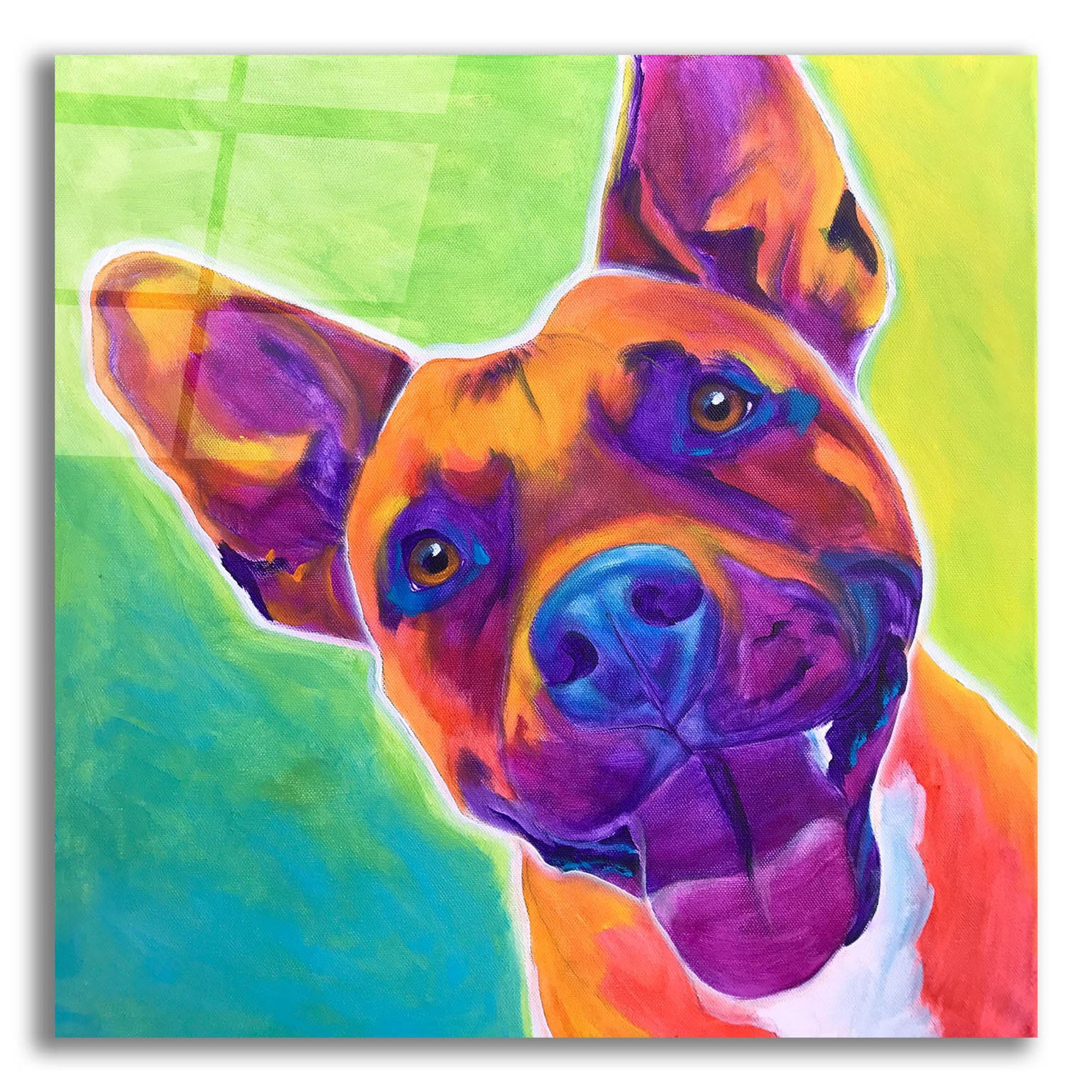 Epic Art 'Pit Bull - Billy2 by Dawg Painter, Acrylic Glass Wall Art