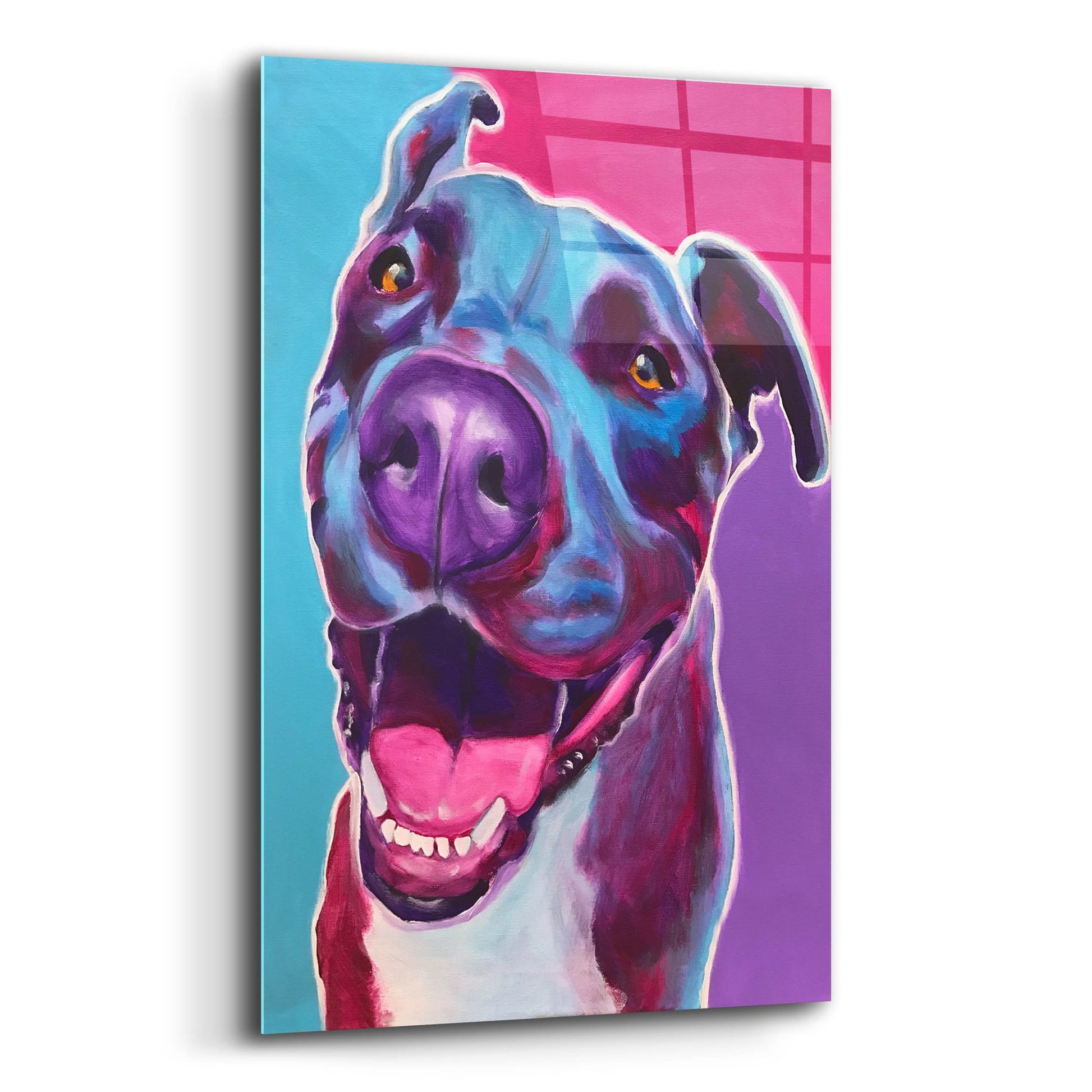 Epic Art 'Pit Bull - Candy2 by Dawg Painter, Acrylic Glass Wall Art,12x16