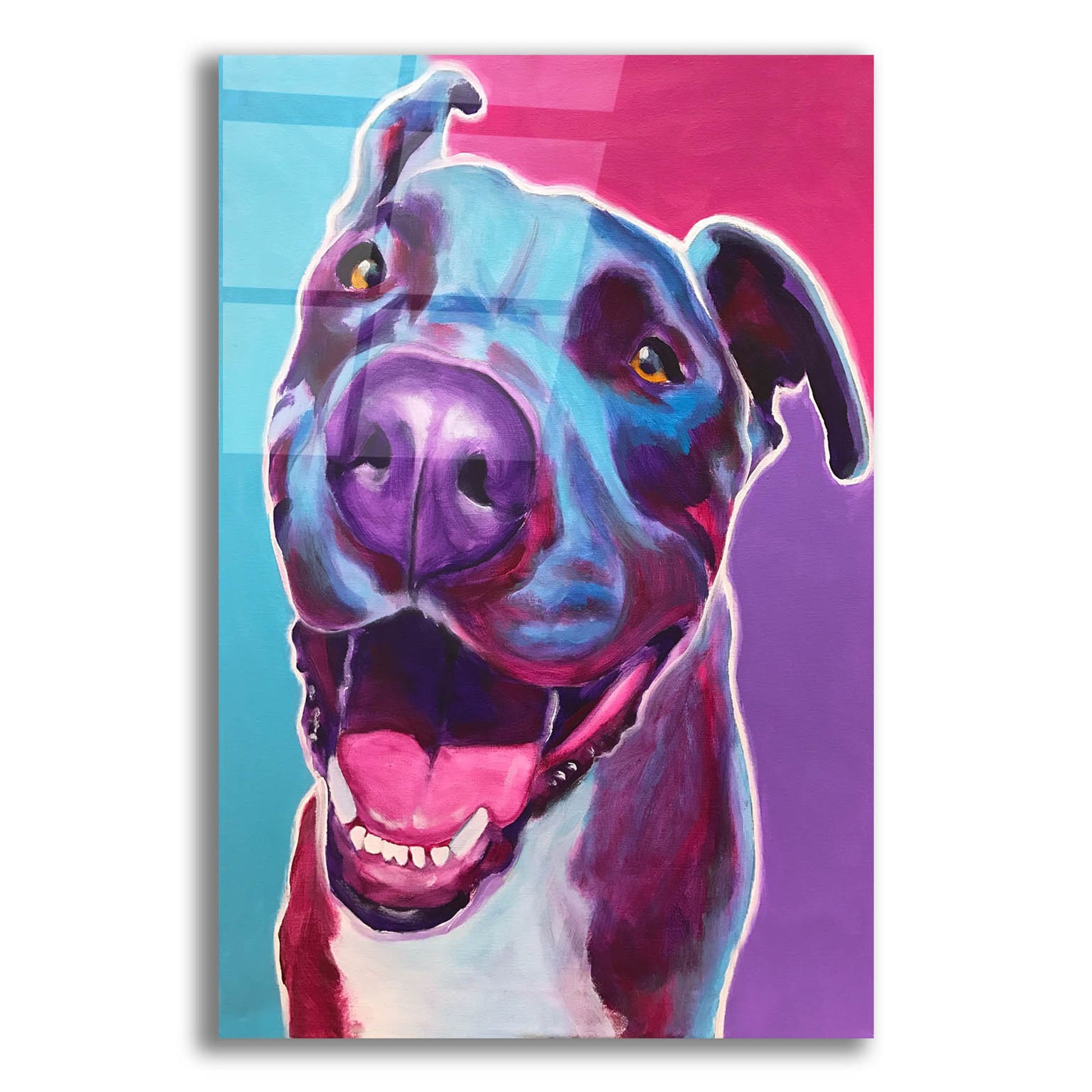 Epic Art 'Pit Bull - Candy2 by Dawg Painter, Acrylic Glass Wall Art