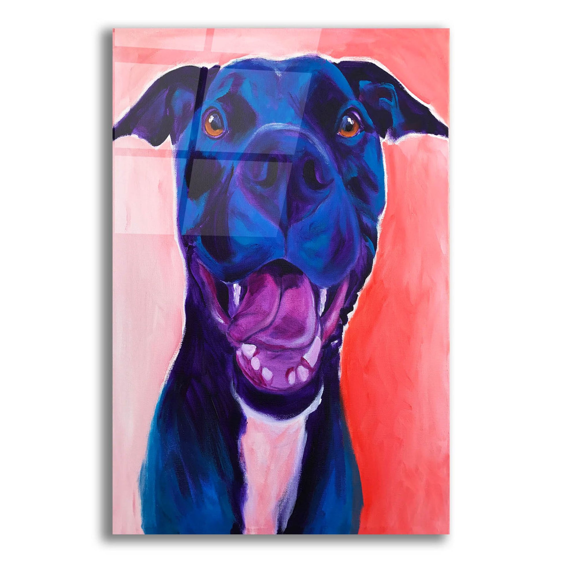 Epic Art 'Pit Bull - Crysanthemum2 by Dawg Painter, Acrylic Glass Wall Art