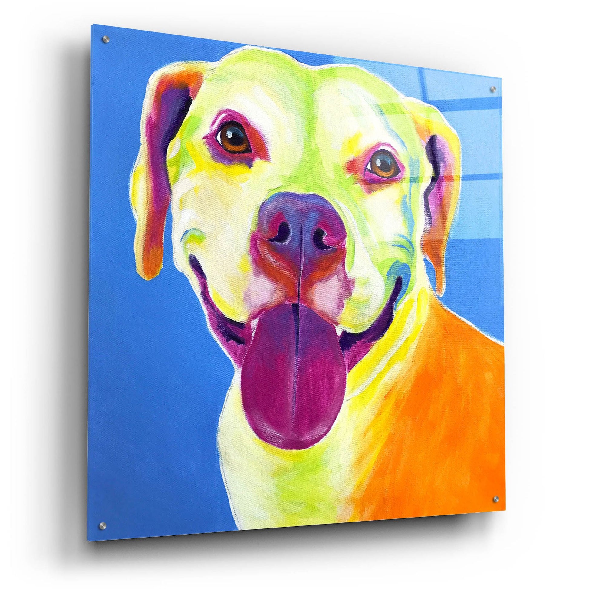 Epic Art 'Pit Bull - Daisy2 by Dawg Painter, Acrylic Glass Wall Art,36x36