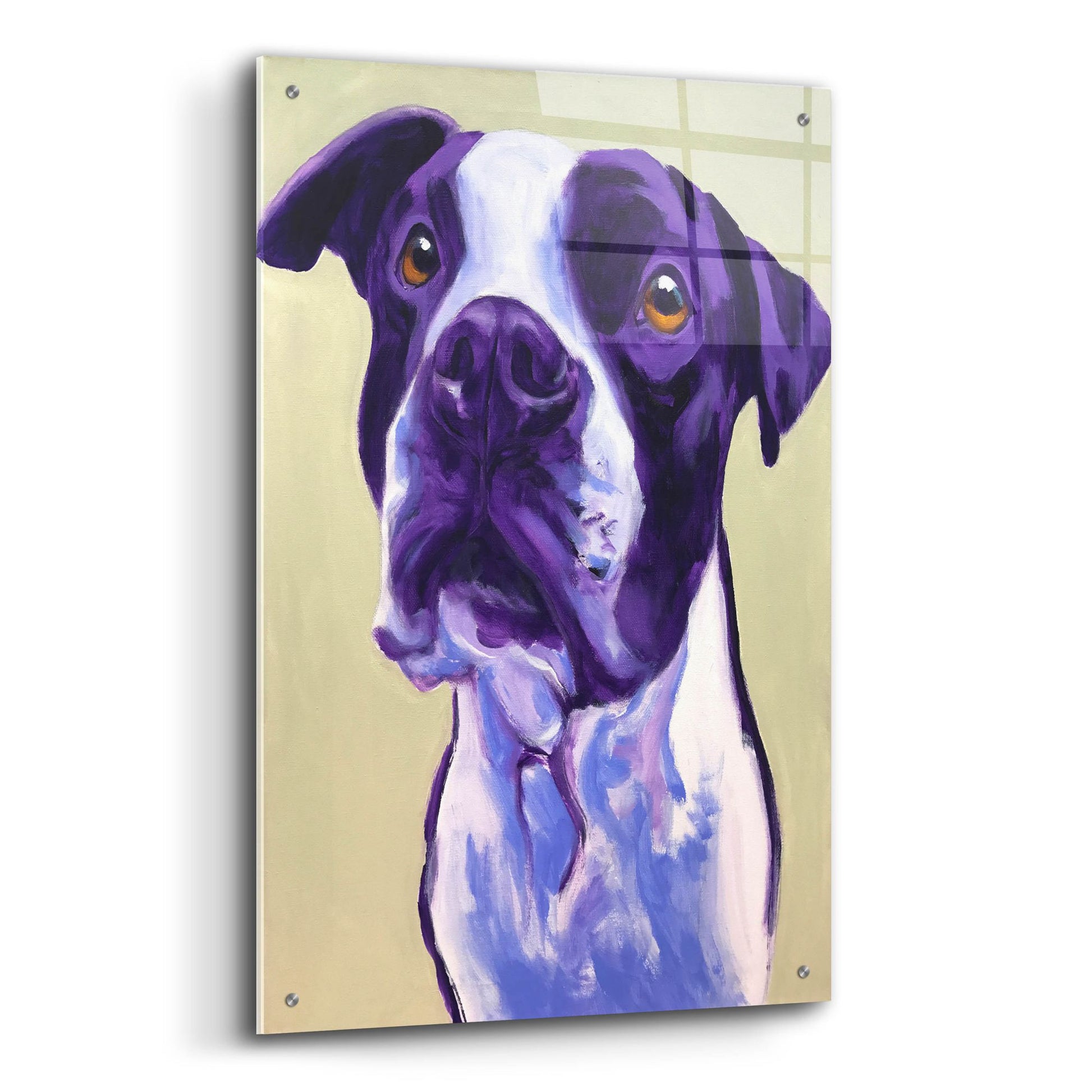 Epic Art 'Pit Bull - David2 by Dawg Painter, Acrylic Glass Wall Art,24x36