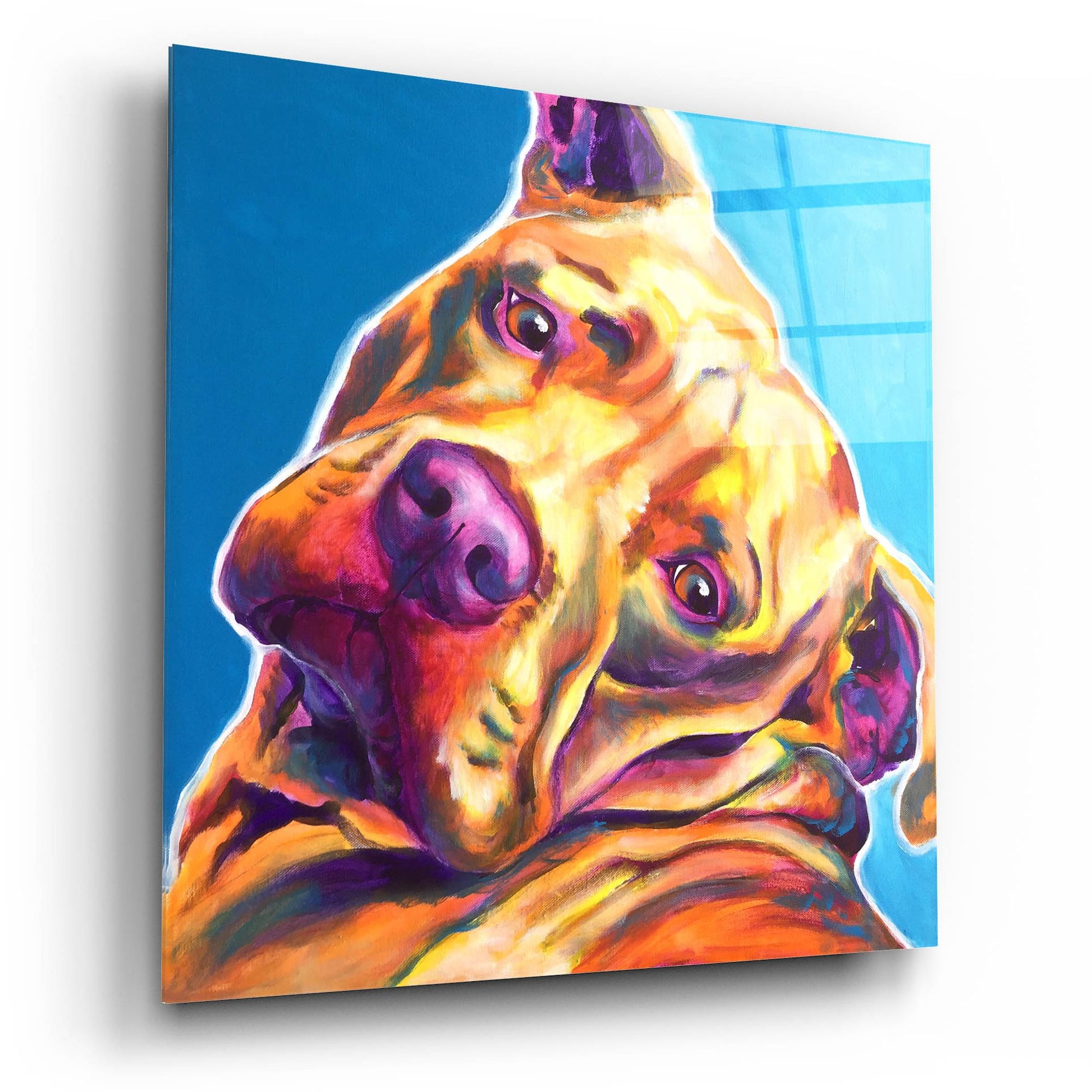 Epic Art 'Pit Bull - Dozer2 by Dawg Painter, Acrylic Glass Wall Art,12x12