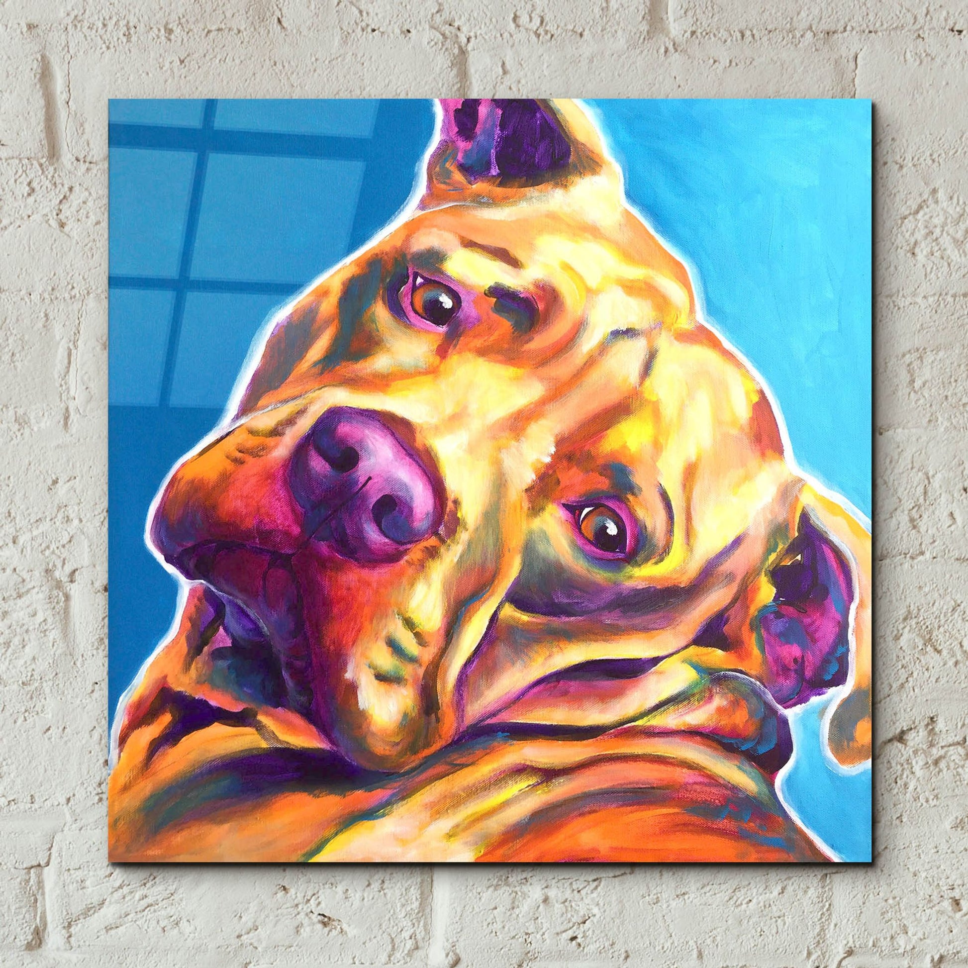 Epic Art 'Pit Bull - Dozer2 by Dawg Painter, Acrylic Glass Wall Art,12x12