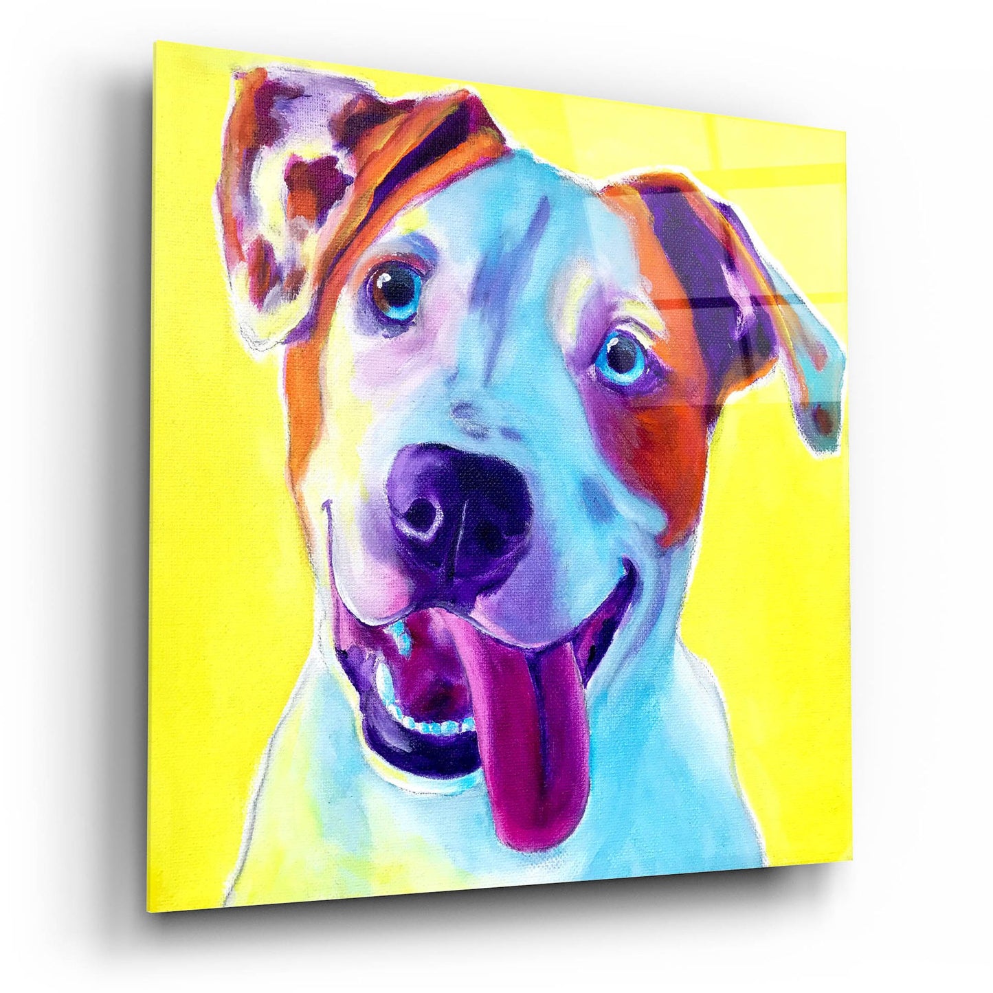 Epic Art 'Pit Bull - Elphaba2 by Dawg Painter, Acrylic Glass Wall Art,12x12