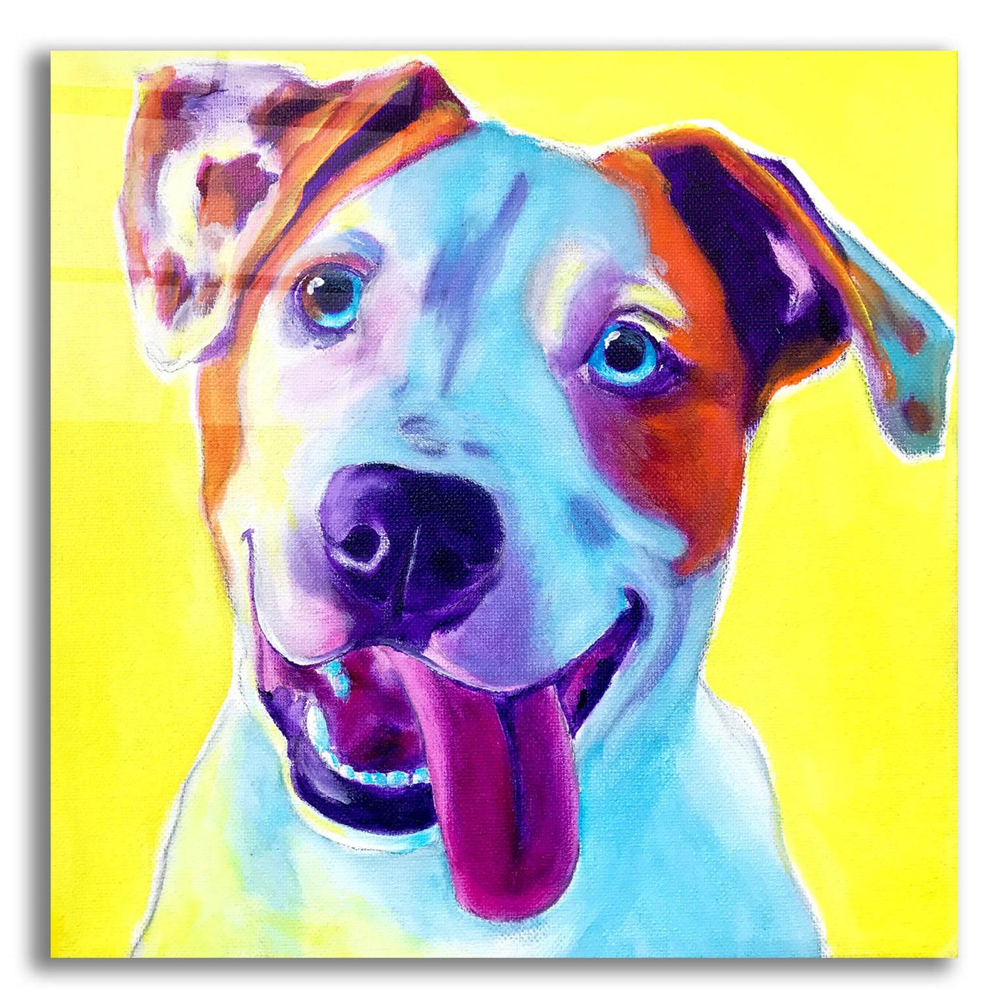 Epic Art 'Pit Bull - Elphaba2 by Dawg Painter, Acrylic Glass Wall Art