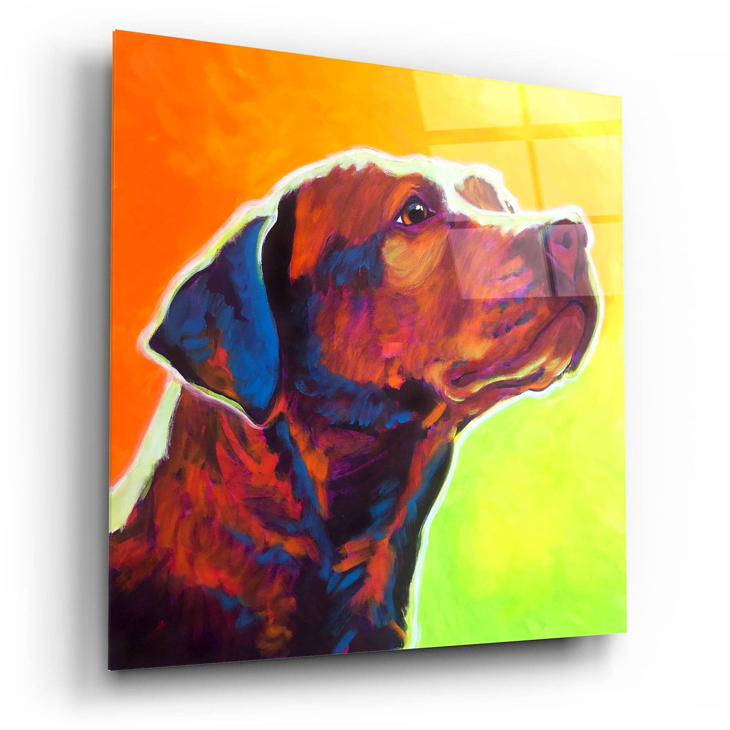 Epic Art 'Pit Bull - Fuji2 by Dawg Painter, Acrylic Glass Wall Art,12x12