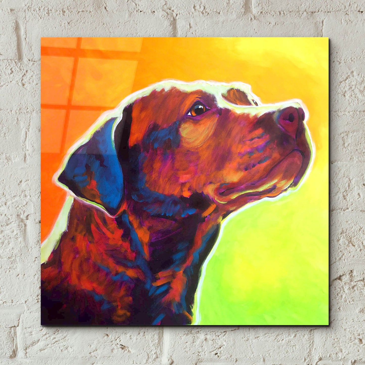 Epic Art 'Pit Bull - Fuji2 by Dawg Painter, Acrylic Glass Wall Art,12x12