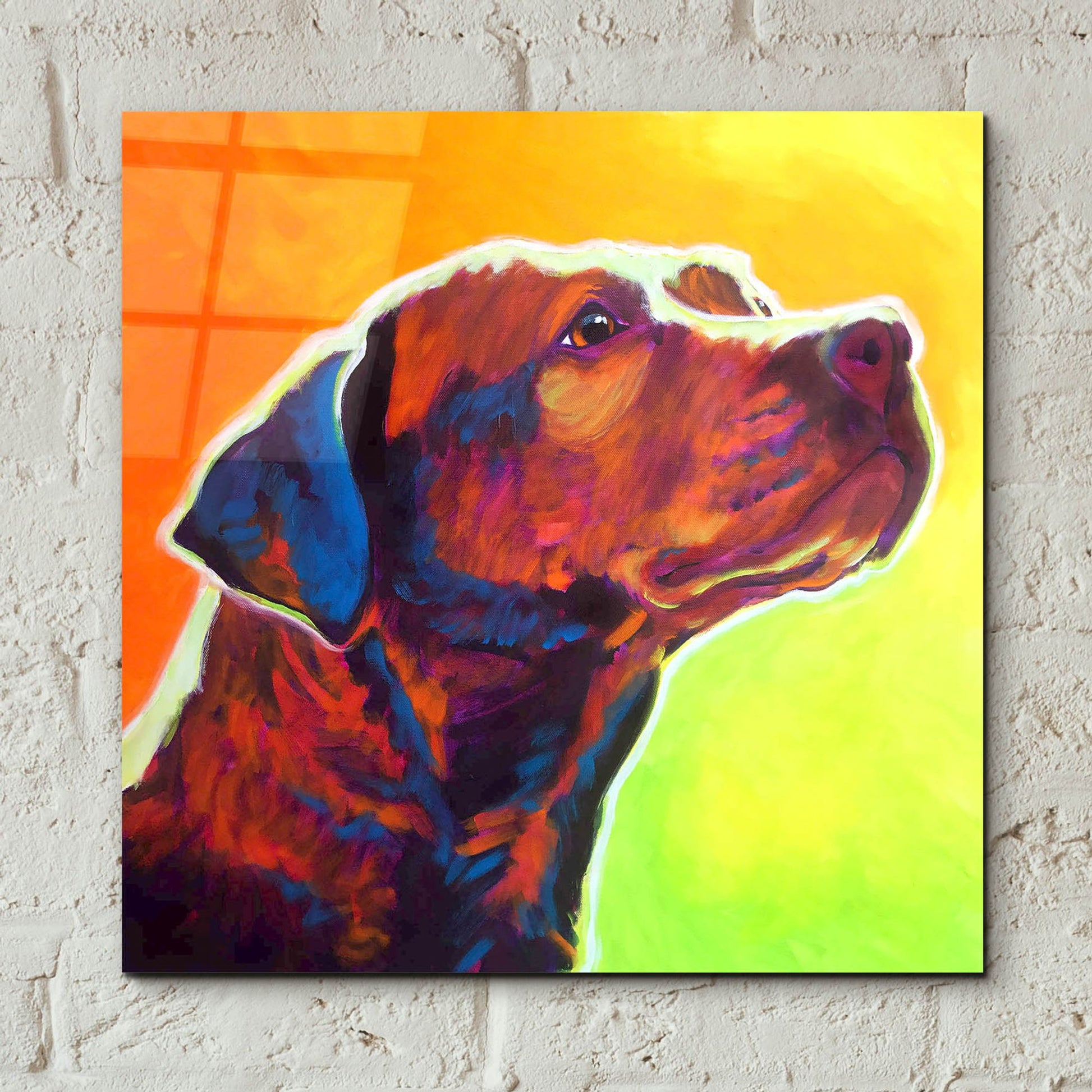 Epic Art 'Pit Bull - Fuji2 by Dawg Painter, Acrylic Glass Wall Art,12x12