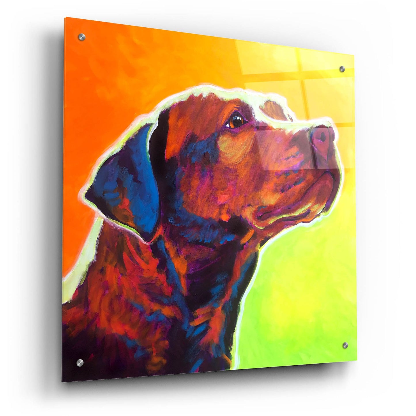 Epic Art 'Pit Bull - Fuji2 by Dawg Painter, Acrylic Glass Wall Art,24x24