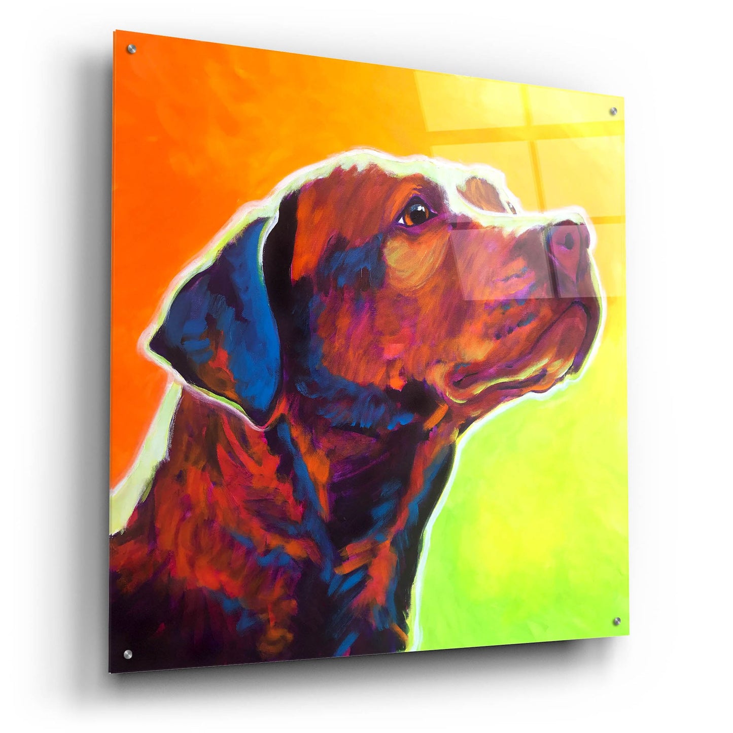 Epic Art 'Pit Bull - Fuji2 by Dawg Painter, Acrylic Glass Wall Art,36x36