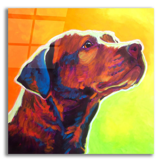 Epic Art 'Pit Bull - Fuji2 by Dawg Painter, Acrylic Glass Wall Art