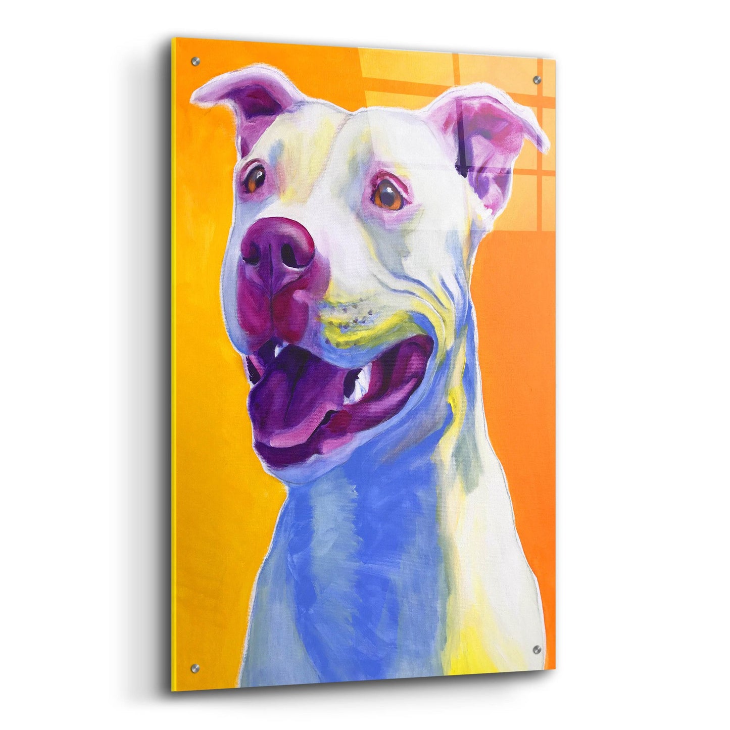 Epic Art 'Pit Bull - Honey2 by Dawg Painter, Acrylic Glass Wall Art,24x36