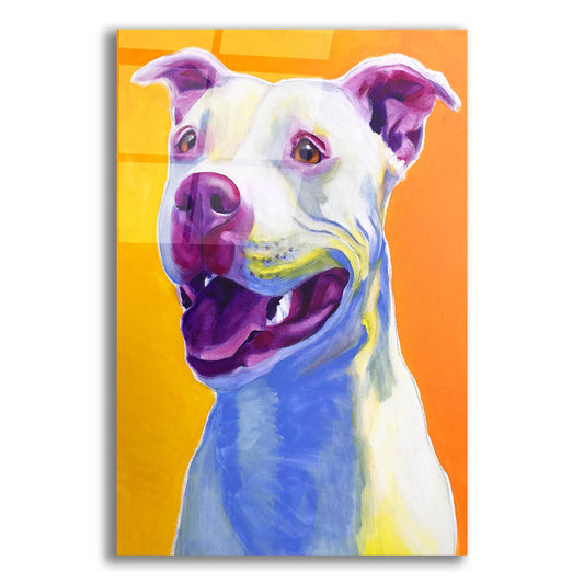 Epic Art 'Pit Bull - Honey2 by Dawg Painter, Acrylic Glass Wall Art