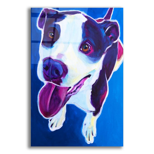 Epic Art 'Pit Bull - Marchant2 by Dawg Painter, Acrylic Glass Wall Art