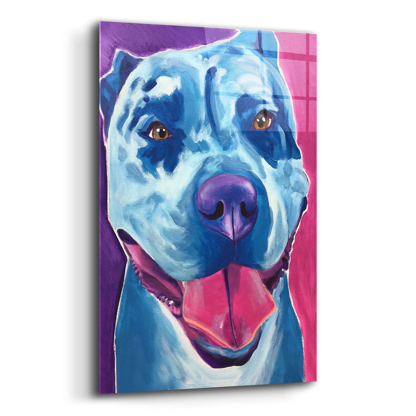 Epic Art 'Pit Bull - Merle2 by Dawg Painter, Acrylic Glass Wall Art,12x16