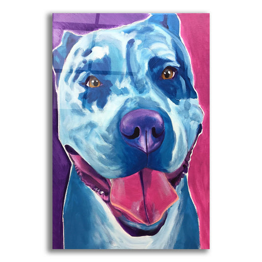 Epic Art 'Pit Bull - Merle2 by Dawg Painter, Acrylic Glass Wall Art