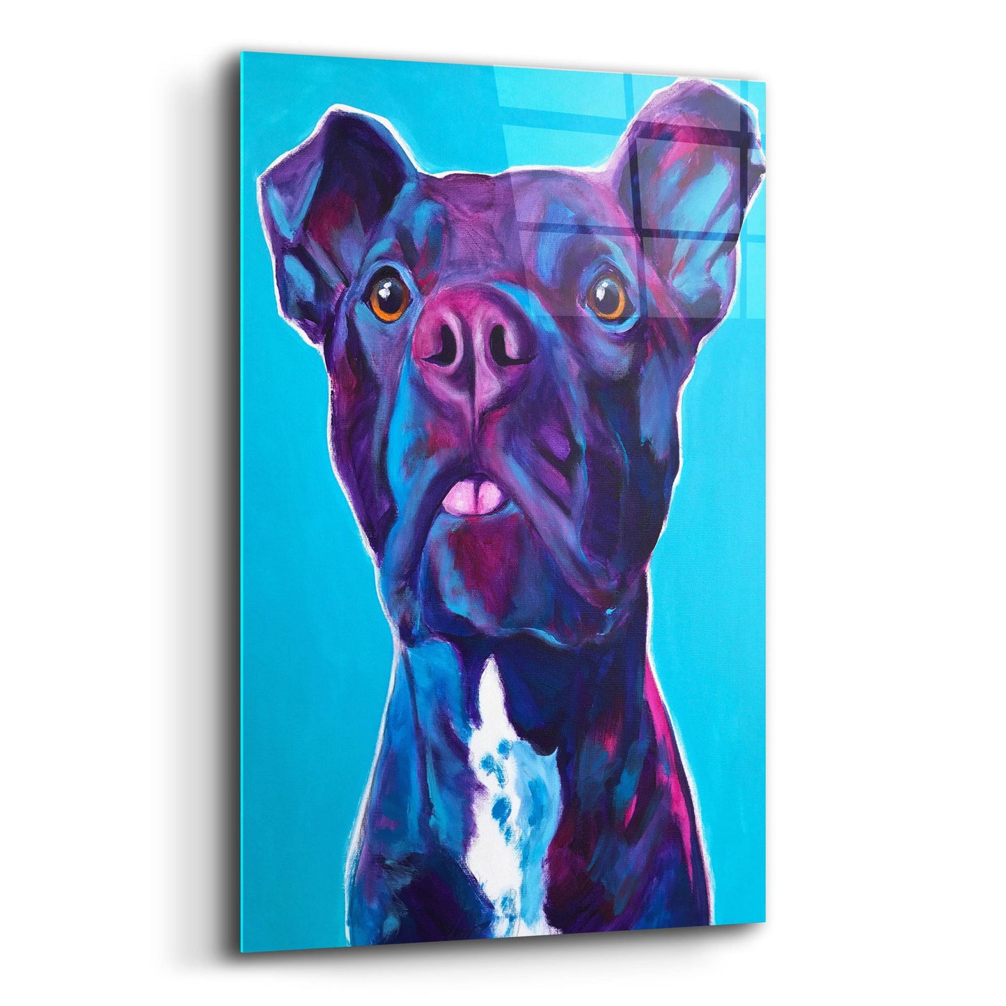 Epic Art 'Pit Bull - Neko2 by Dawg Painter, Acrylic Glass Wall Art,12x16