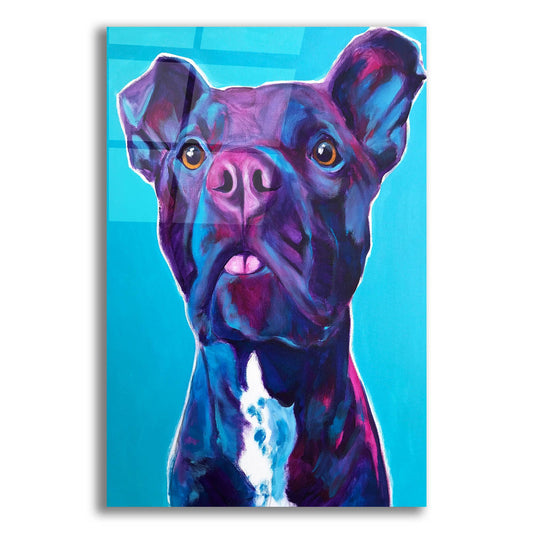 Epic Art 'Pit Bull - Neko2 by Dawg Painter, Acrylic Glass Wall Art