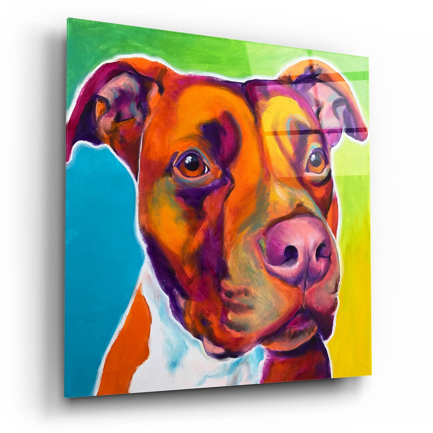 Epic Art 'Pit Bull - Red2 by Dawg Painter, Acrylic Glass Wall Art,12x12