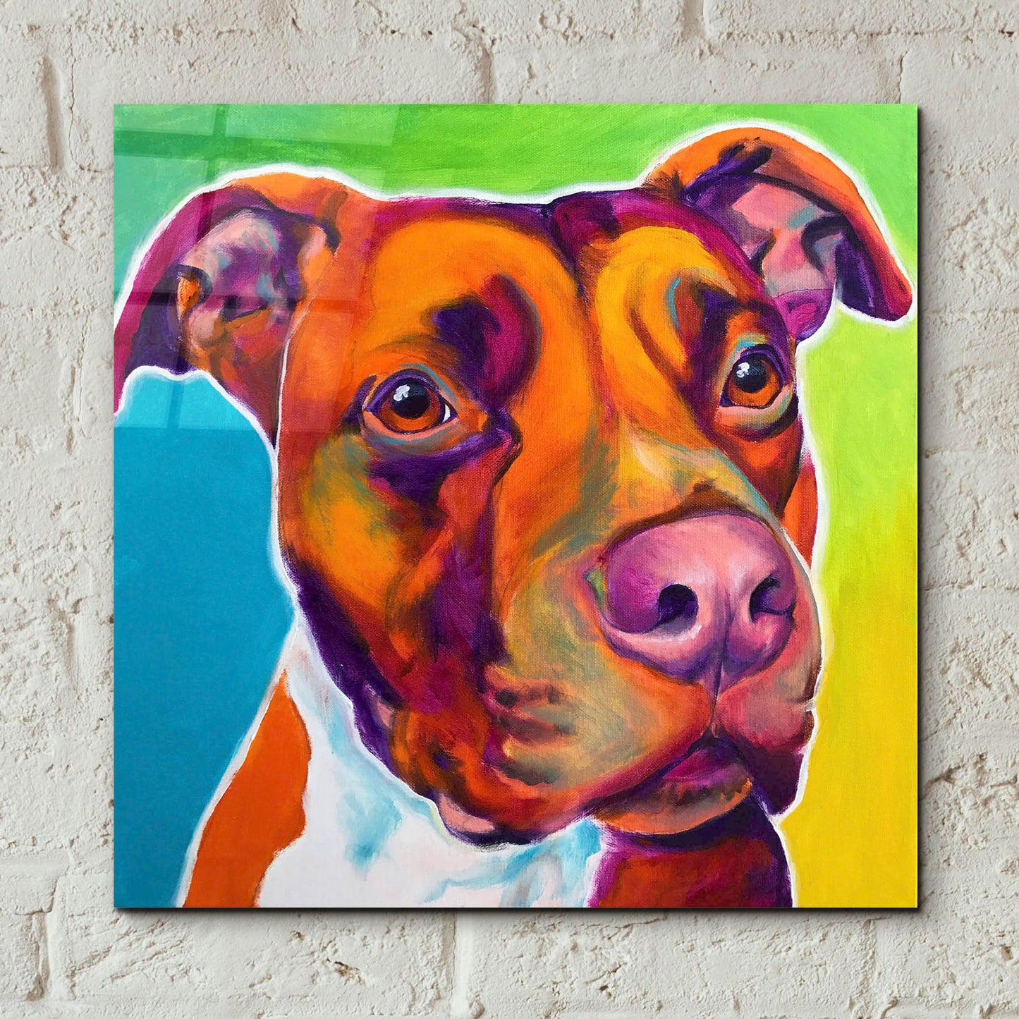 Epic Art 'Pit Bull - Red2 by Dawg Painter, Acrylic Glass Wall Art,12x12