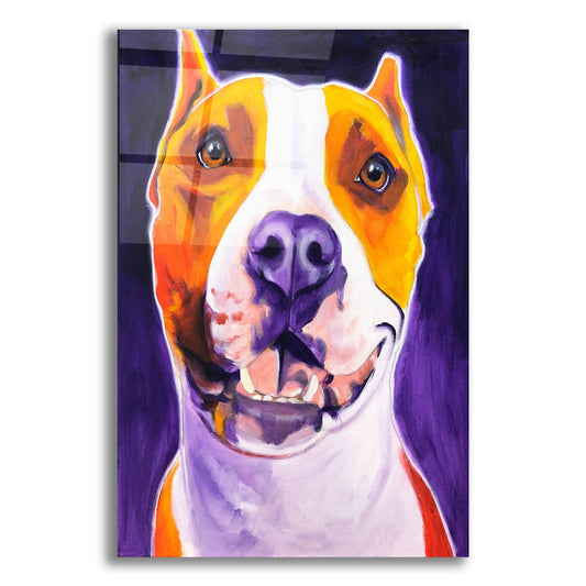 Epic Art 'Pit Bull - Rexy2 by Dawg Painter, Acrylic Glass Wall Art