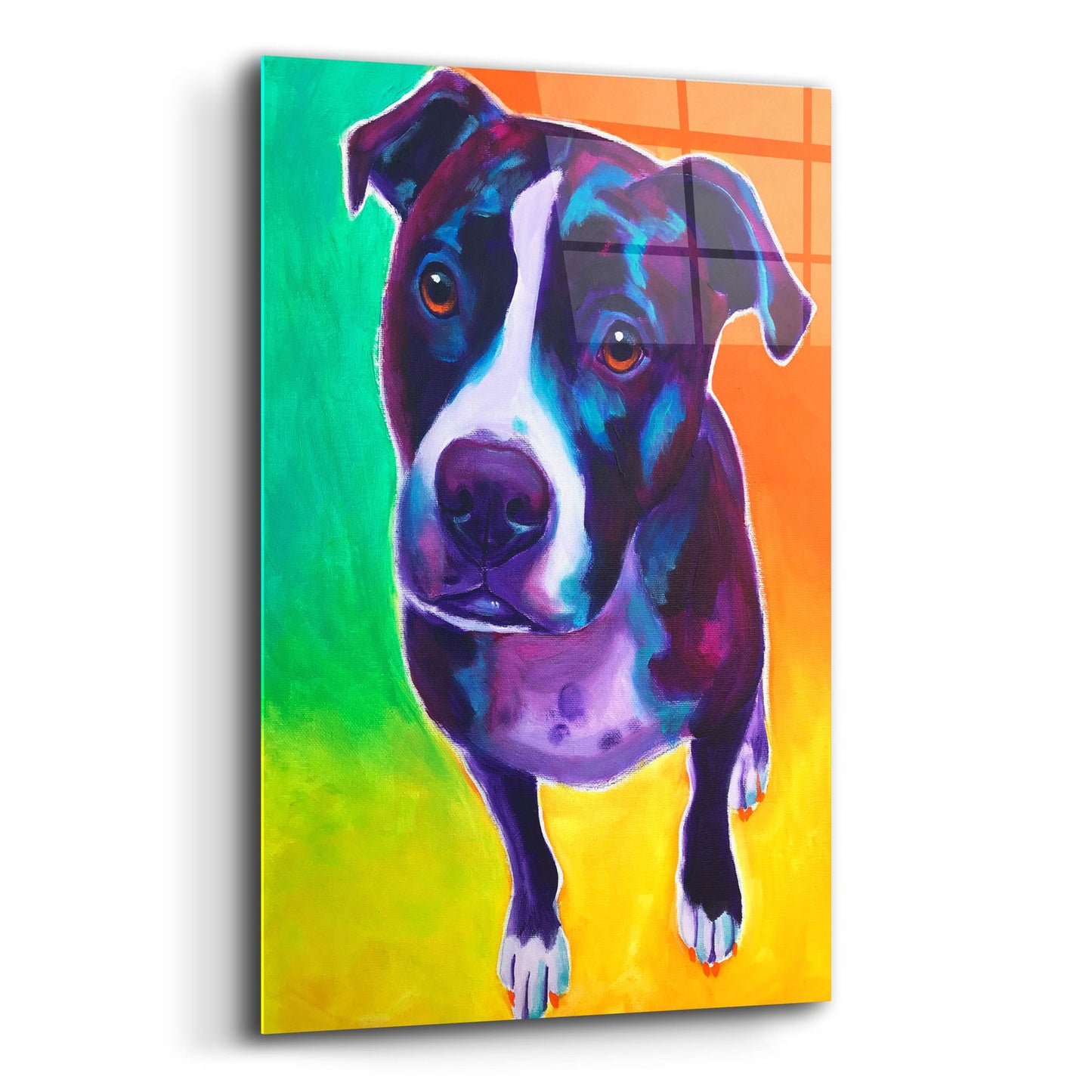 Epic Art 'Pit Bull - Truman2 by Dawg Painter, Acrylic Glass Wall Art,12x16