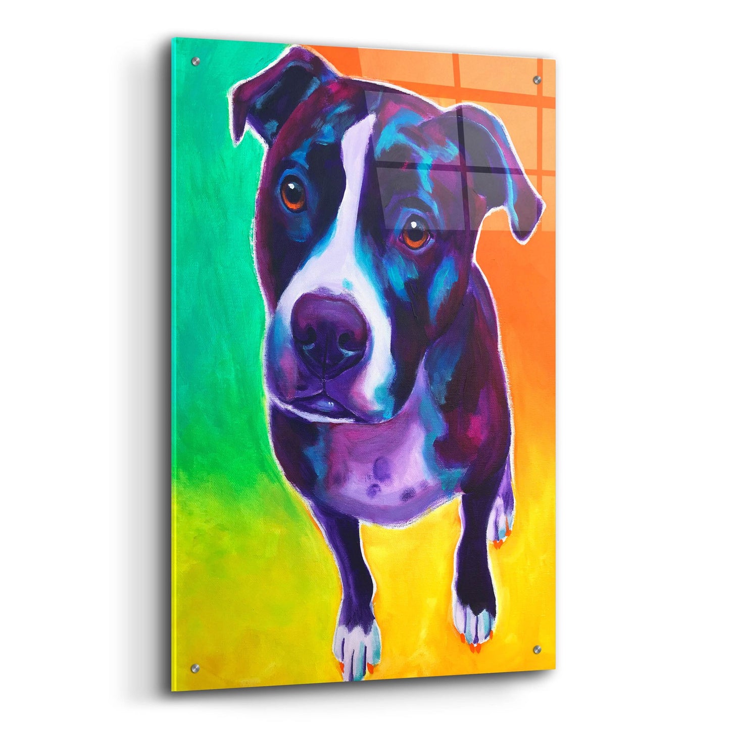 Epic Art 'Pit Bull - Truman2 by Dawg Painter, Acrylic Glass Wall Art,24x36