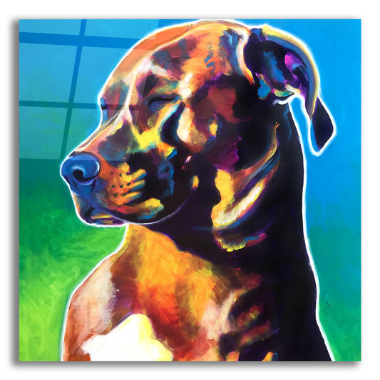 Epic Art 'Pit Bull - Twyla2 by Dawg Painter, Acrylic Glass Wall Art