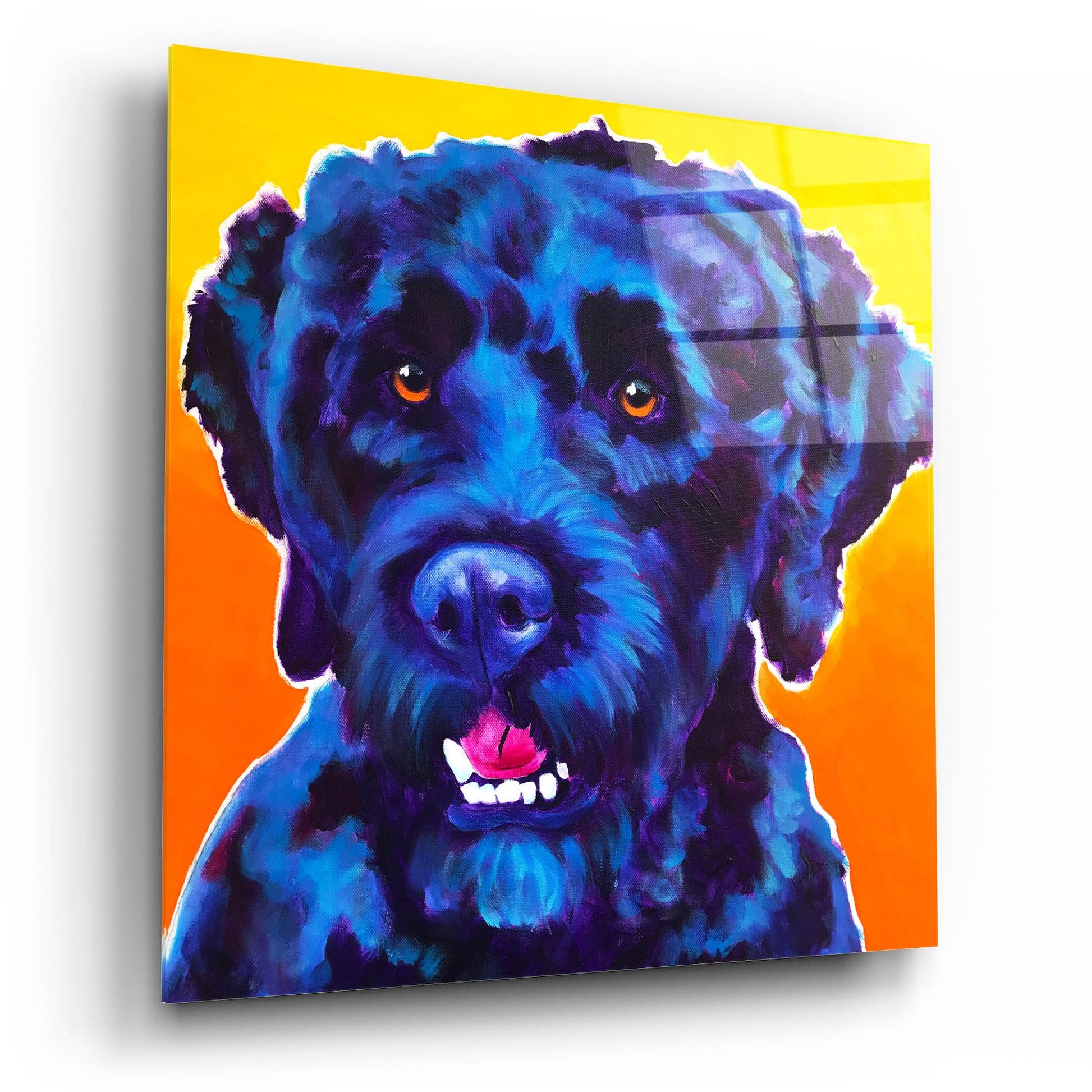 Epic Art 'Portuguese Water Dog - Banks2 by Dawg Painter, Acrylic Glass Wall Art,12x12