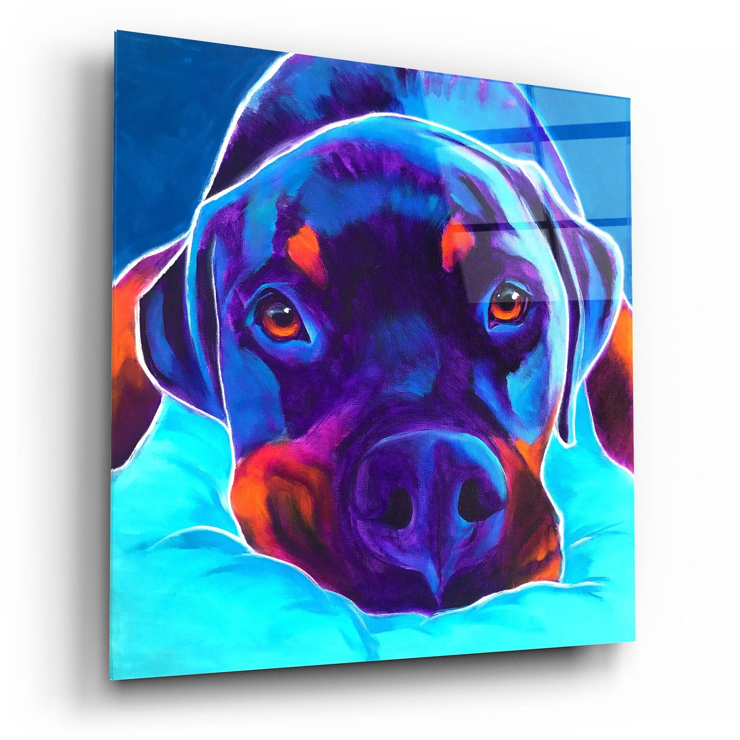 Epic Art 'Rottie - Dexter 22 by Dawg Painter, Acrylic Glass Wall Art,12x12