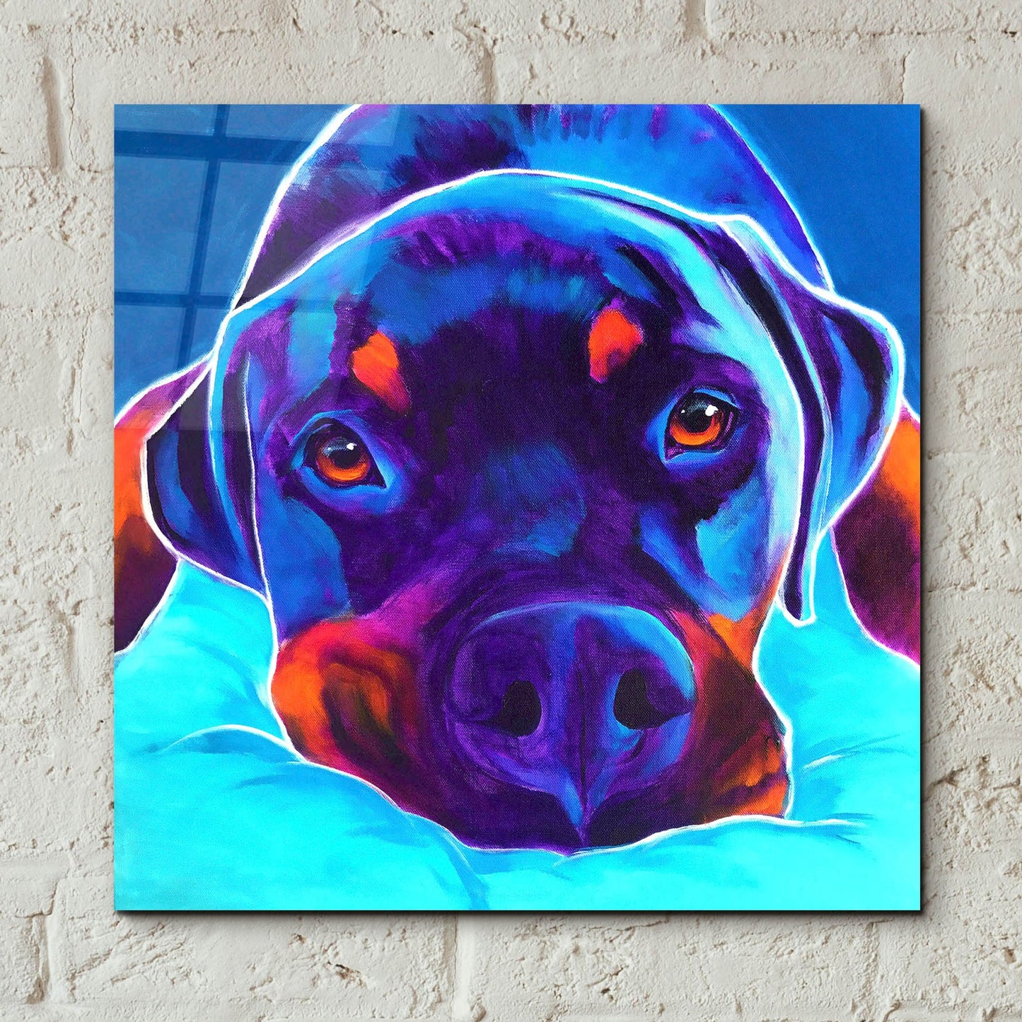 Epic Art 'Rottie - Dexter 22 by Dawg Painter, Acrylic Glass Wall Art,12x12