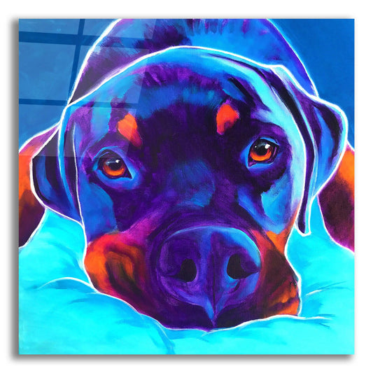Epic Art 'Rottie - Dexter 22 by Dawg Painter, Acrylic Glass Wall Art
