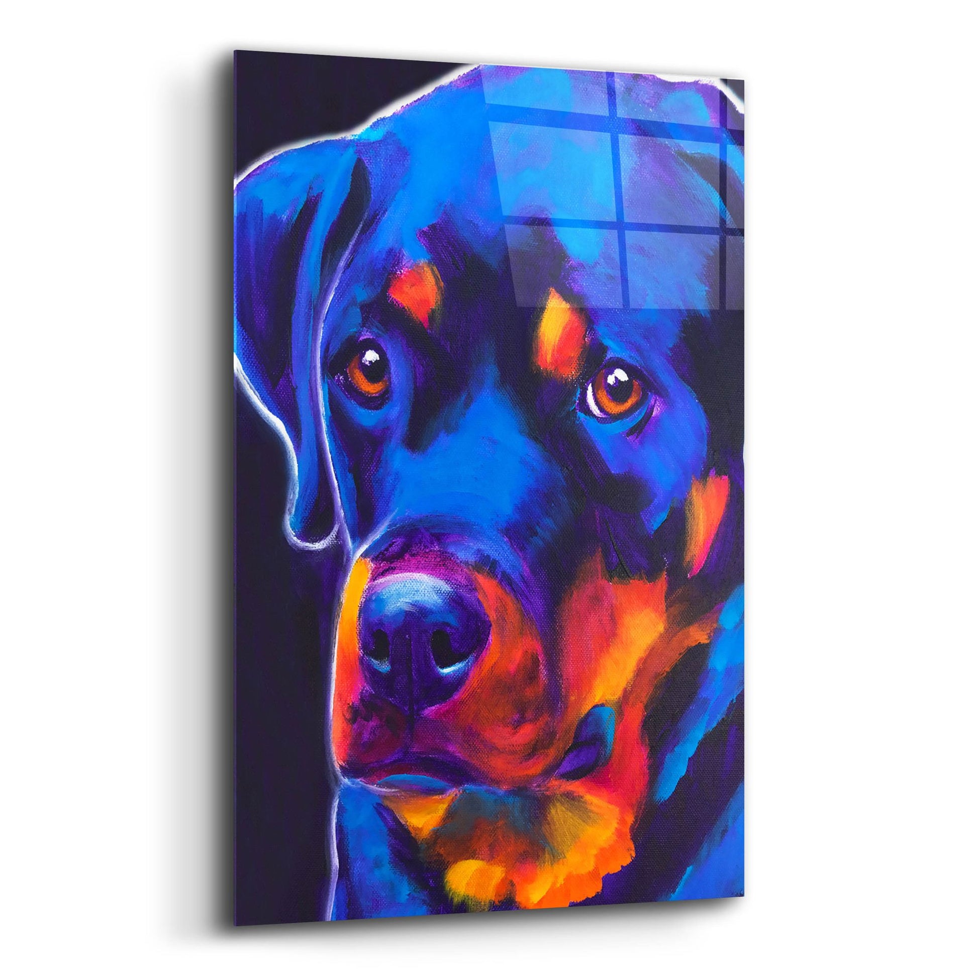 Epic Art 'Rottie - Dexter2 by Dawg Painter, Acrylic Glass Wall Art,12x16