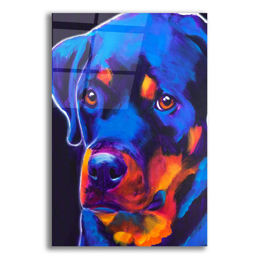 Epic Art 'Rottie - Dexter2 by Dawg Painter, Acrylic Glass Wall Art