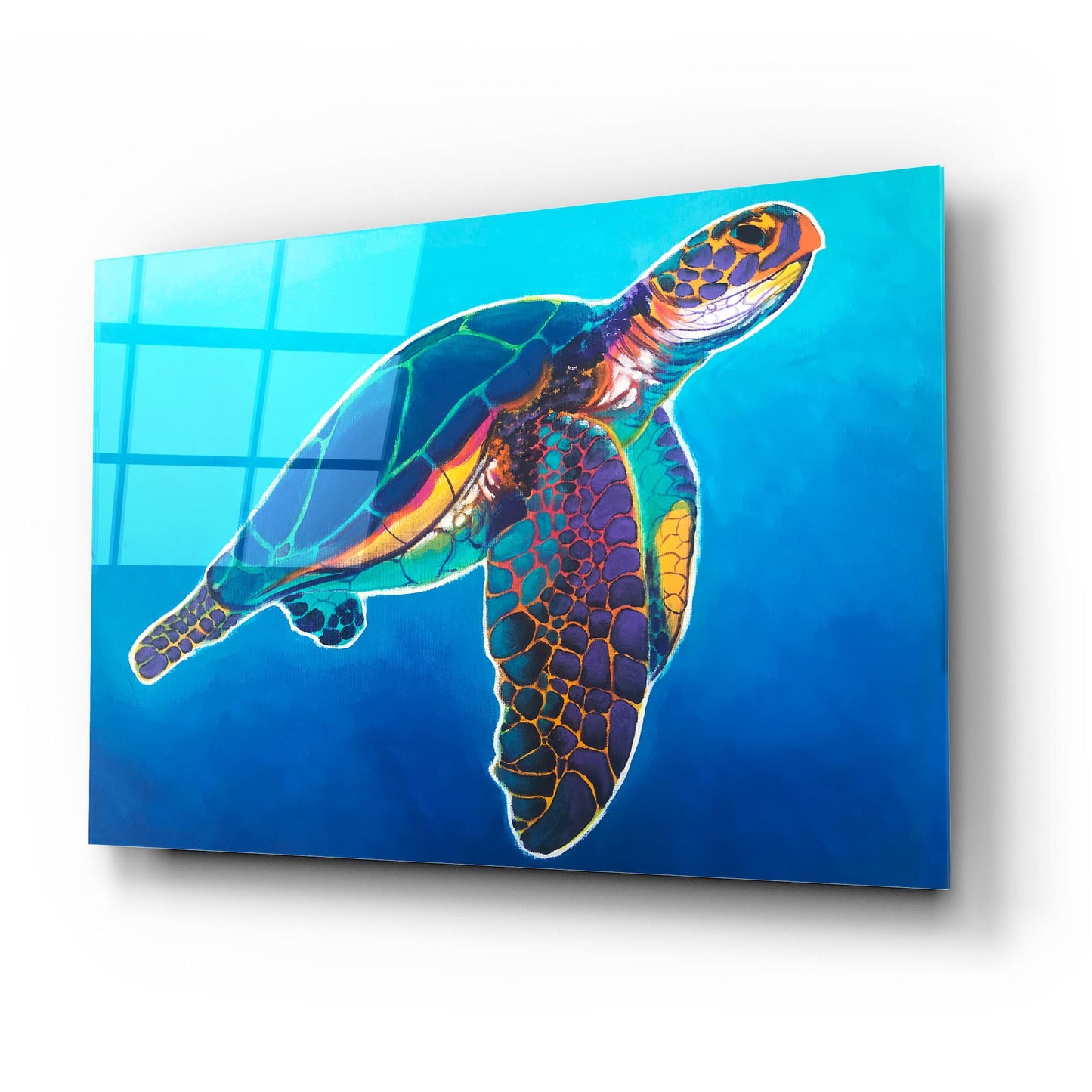 Epic Art 'Sea Turtle - Rainbow2 by Dawg Painter, Acrylic Glass Wall Art,24x16