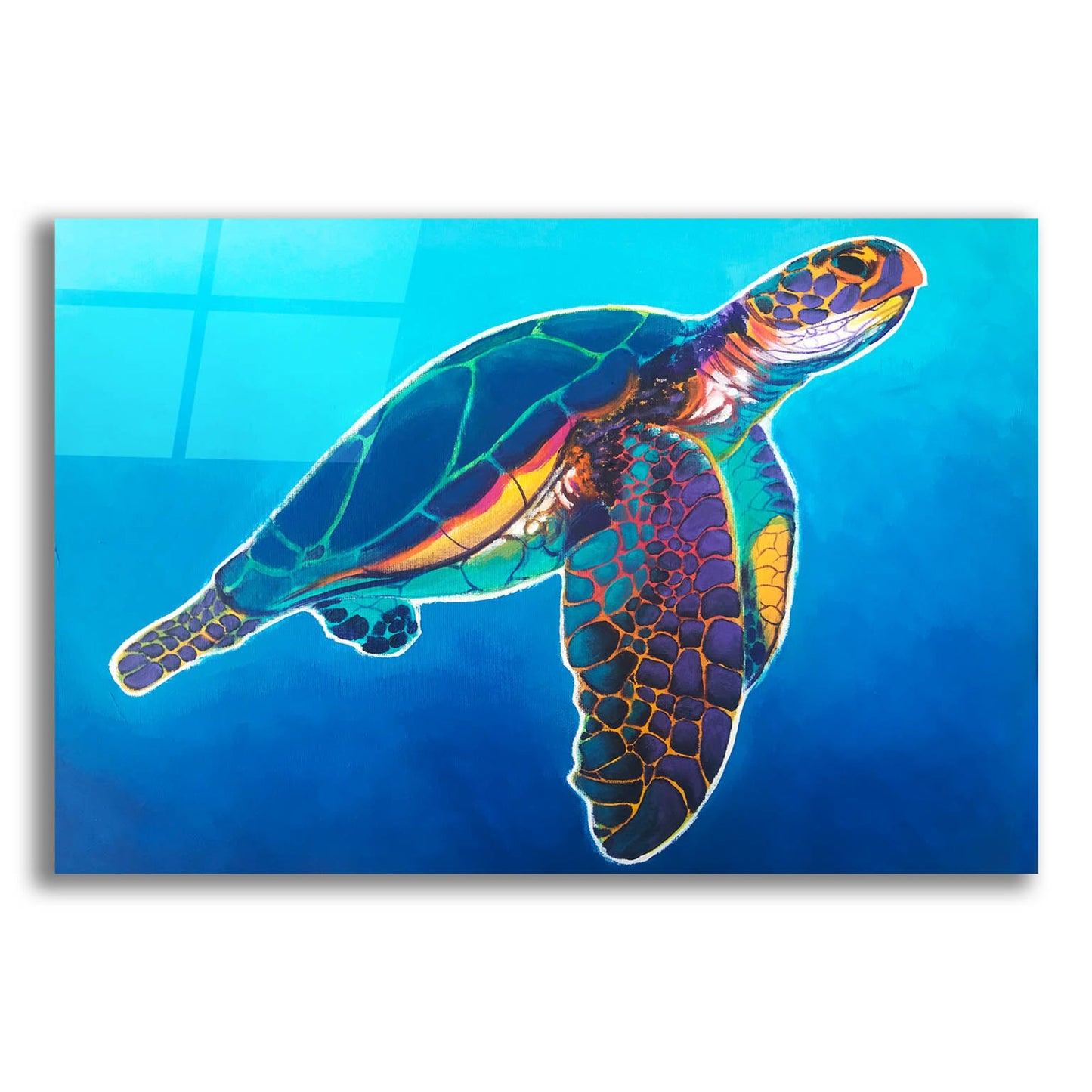 Epic Art 'Sea Turtle - Rainbow2 by Dawg Painter, Acrylic Glass Wall Art,24x16