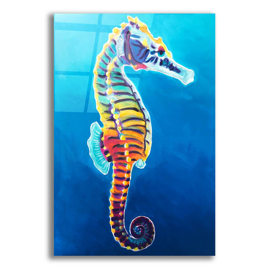 Epic Art 'Seahorse - Rainbow2 by Dawg Painter, Acrylic Glass Wall Art