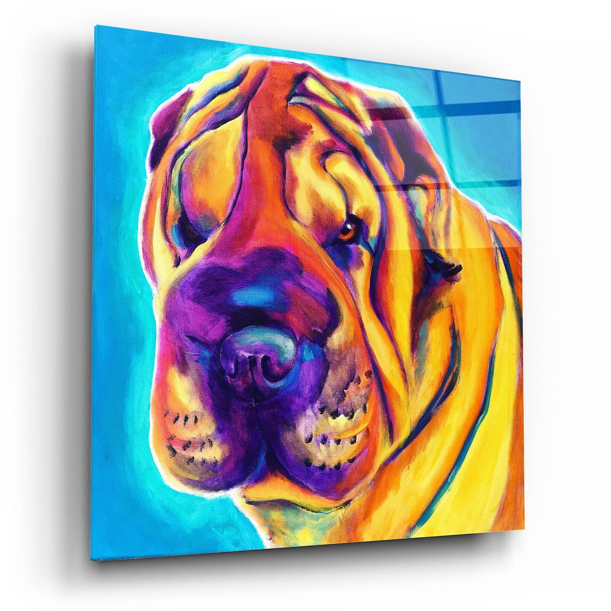 Epic Art 'Sharpei - Big Man2 by Dawg Painter, Acrylic Glass Wall Art,12x12