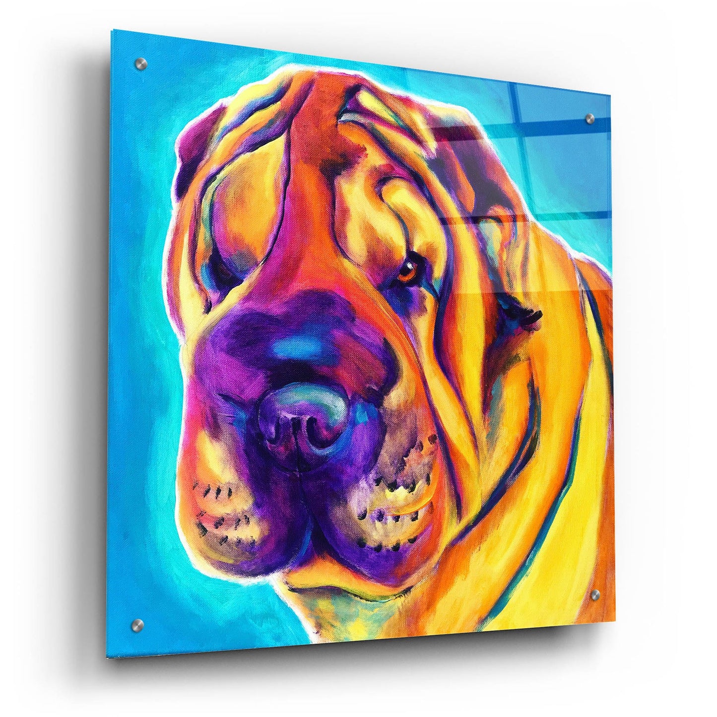 Epic Art 'Sharpei - Big Man2 by Dawg Painter, Acrylic Glass Wall Art,24x24
