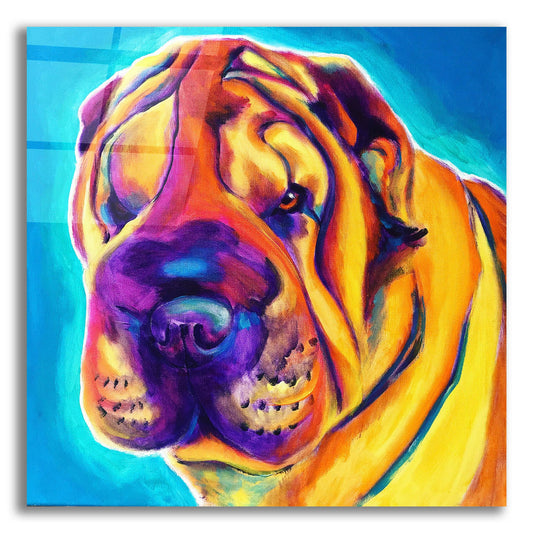 Epic Art 'Sharpei - Big Man2 by Dawg Painter, Acrylic Glass Wall Art